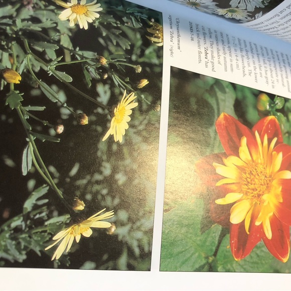 Botanicals Pocket Guide, really great book to help identify over 2000 plants - Picture 15 of 16